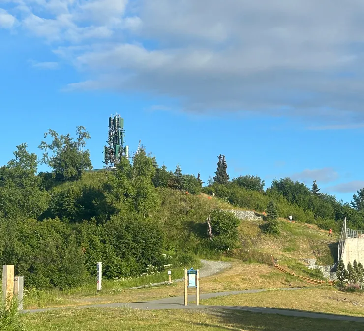 Hill with trees and grass and blue sky in the background.